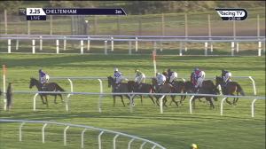 Video preview image for Cheltenham 14:25 - Albert Bartlett Novices' Hurdle (Bristol) (Grade 2) (1)