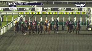 Video preview image for Kempton Park 19:40 - Wise Betting At racingtv.com Handicap (6) (Div 1)