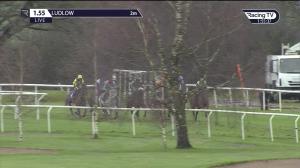 Video preview image for Ludlow 13:55 - Tanners Champagne Handicap Chase (2)