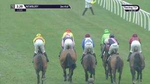 Video preview image for Newbury 14:20 - Every Race Live On Racing TV EBF Stallions 'National Hunt' Novices' Hurdle (Qualifier) (4)