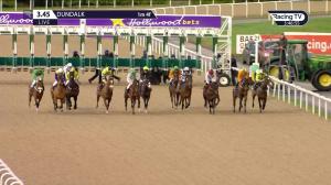 Video preview image for Dundalk 15:45 - Join Us On Instagram @dundalk_stadium Handicap (Div 2)