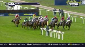 Video preview image for Wetherby 12:20 - William Hill Acca Freedom Novices' Handicap Chase (5)