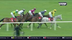 Video preview image for Limerick 14:35 - Matchbook Betting Exchange Faugheen Novice Chase (Grade 1)
