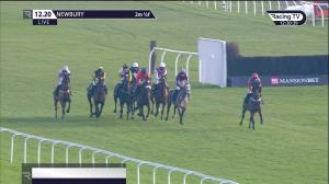 Video preview image for Newbury 12:20 - Mansionbet Cheers To 2021 Mares' Handicap Hurdle (3)
