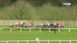 Video preview image for Limerick 12:30 - Limerick Racecourse Vets Mares Beginners Chase