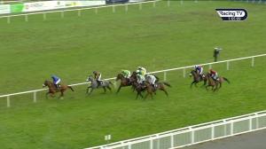 Video preview image for Limerick 13:05 - Greenmount Equine Hospital Novice Handicap Chase