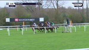 Video preview image for Newbury 14:05 - Mansionbet's Watch and Bet Handicap Hurdle (2)