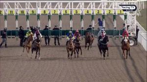 Video preview image for Chelmsford City 16:10 - Luxdeco Maiden Stakes (5)