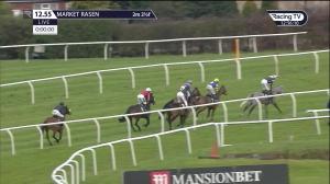 Video preview image for Market Rasen 12:55 -  Mansionbet Watch & Bet Novices' Hurdle (Qualifier) (4)