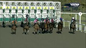Video preview image for Chelmsford City 13:40 - CCR Classified Stakes (6)