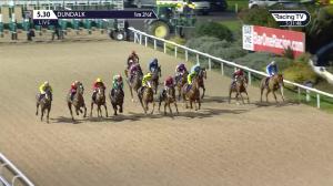 Video preview image for Dundalk 17:30 - Follow Us On Twitter @dundalkstadium Handicap (Div 2)