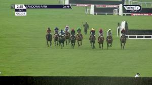 Video preview image for Sandown Park 14:55 - Virgin Bet Warriors Handicap Chase (3)