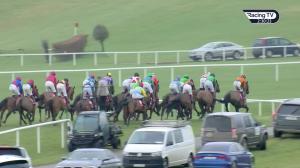 Video preview image for Punchestown 14:30 - Happy Birthday Sarah Ann Madden Maiden Hurdle (Div 1)