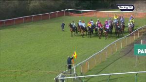Video preview image for Warwick 13:50 - Paddy Power Novices' Hurdle (4)
