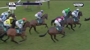 Video preview image for Warwick 17:00 - Paddy Power Intermediate Open National Hunt Flat (5)