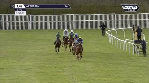 Video preview image for Wetherby 15:42 - Watch On Racing TV Standard Open National Hunt Flat (5)