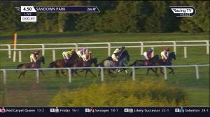 Video preview image for Sandown Park 16:50 - Richmond Novices' Handicap Hurdle (4)