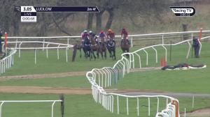 Video preview image for Ludlow 15:05 - EBF Mares' Novices' Chase (Qualifier) (3)