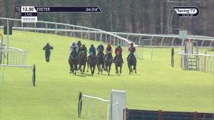 Video preview image for Exeter 12:30 - Kenn Novices' Hurdle (4)