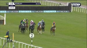 Video preview image for Newbury 13:15 - BetVictor Juvenile Hurdle (Qualifier) (4)