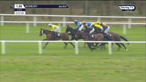 Video preview image for Newbury 13:50 - Irish Thoroughbred Marketing Novices' Handicap Chase (4)