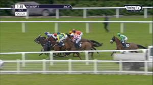 Video preview image for Newbury 13:15 - BetVictor Veterans' Handicap Chase (Leg 3) (2)