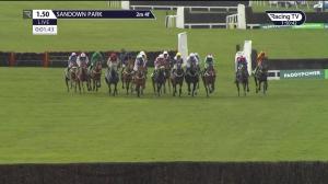 Video preview image for Sandown Park 13:50 - European Breeders' Fund Paddy Power 'National Hunt' Novices' Handicap Hurdle Final (Grade 3) (1)