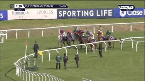 Video preview image for Cheltenham 13:20 - Sky Bet Supreme Novices' Hurdle (Grade 1) (1)
