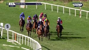 Video preview image for Down Royal 14:10 - Powered By Bluegrass Horse Feeds Novice Handicap Hurdle