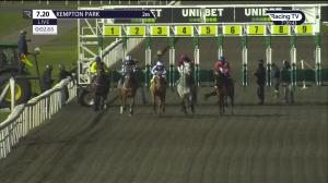 Video preview image for Kempton Park 19:20 - Unibet Extra Place Offers Every Day Handicap (3)