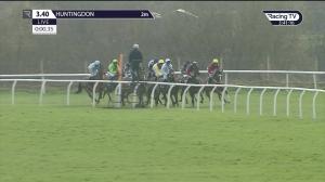 Video preview image for Huntingdon 15:40 - Racing TV Standard National Hunt Flat (5)
