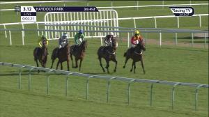Video preview image for Haydock Park 15:12 - Tim Molony Handicap Chase (3)