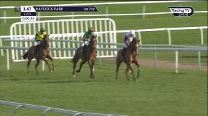 Video preview image for Haydock Park 15:47 - Hermitage Green Standard Open National Hunt Flat (4)