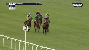 Video preview image for Newbury 13:00 - BetVictor Handicap Hurdle (3)