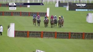 Video preview image for Newbury 14:05 - Bv Handicap Hurdle (2)