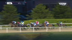 Video preview image for Dundalk 19:00 - Join Us On Instagram @dundalk_stadium Apprentice Handicap