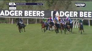 Video preview image for Wincanton 13:00 - Racing TV Extra 'National Hunt' Maiden Hurdle (4)
