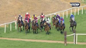 Video preview image for Clonmel 17:35 - Quirke Upvc Windows (Clonmel) Beginners Chase