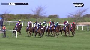 Video preview image for Fairyhouse 14:55 - Mccauley Pharmacy Ladies National Handicap Chase