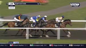 Video preview image for Kempton Park 15:30 - Unibet 3 Uniboosts A Day Conditions Stakes (2)