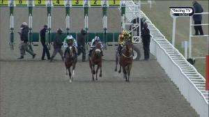 Video preview image for Chelmsford City 18:30 - Racing Welfare Handicap (4)