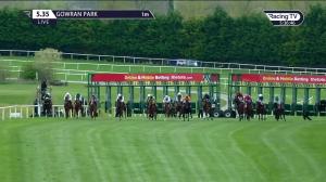 Video preview image for Gowran Park 17:35 - Irish Injured Jockeys Handicap 