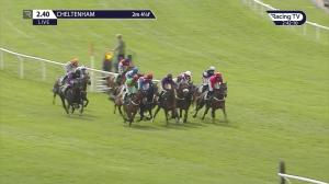 Video preview image for Cheltenham 14:40 - Kingston Stud Handicap Hurdle (2)