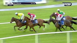 Video preview image for Ballinrobe 17:30 - Mcgrath Limestone Works Handicap Hurdle