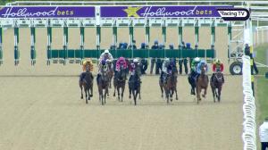 Video preview image for Dundalk 15:30 - Hollywoodbets Best Odds Guaranteed Handicap