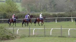 Video preview image for Taunton 16:55 - Newton King Estate Agents Novices' Hurdle (4)