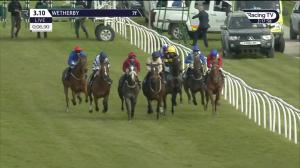 Video preview image for Wetherby 15:10 - Watch Racing TV In Stunning HD Novice Stakes (5)