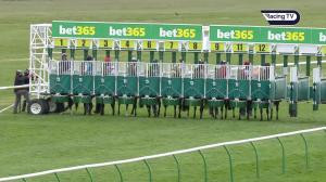 Video preview image for Newmarket 16:45 - Bet Builder At Bet365 Handicap (4)