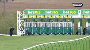 Video preview image for Newmarket 16:10 - Bet365 British EBF "Confined" Novice Stakes (4)