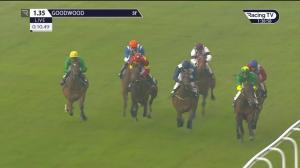 Video preview image for Goodwood 13:35 - South Downs Water EBF Restricted Novice Stakes (4)